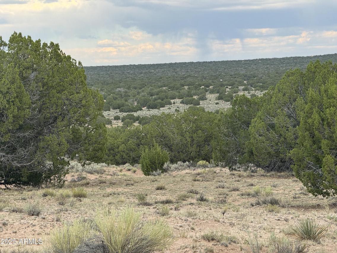 171 E Witch Well Ranches, St Johns, AZ 85936