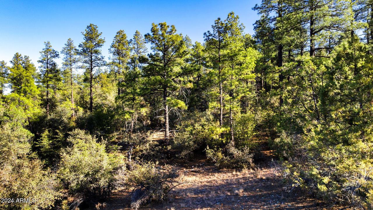 1101 White Spar Rd. #'-', Prescott, AZ 86303