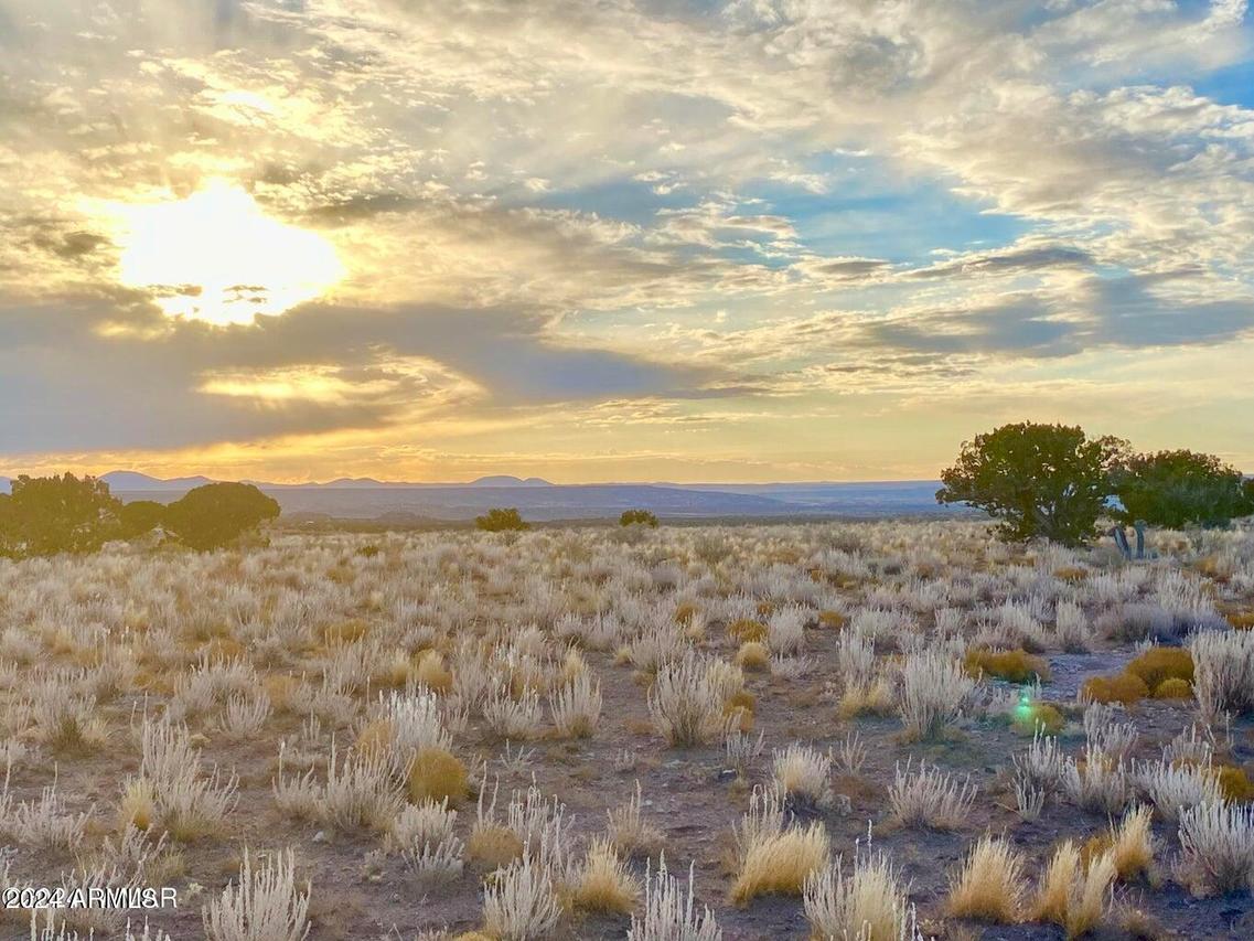 TBD N6422 36.22 Acres #136, St Johns, AZ 85936