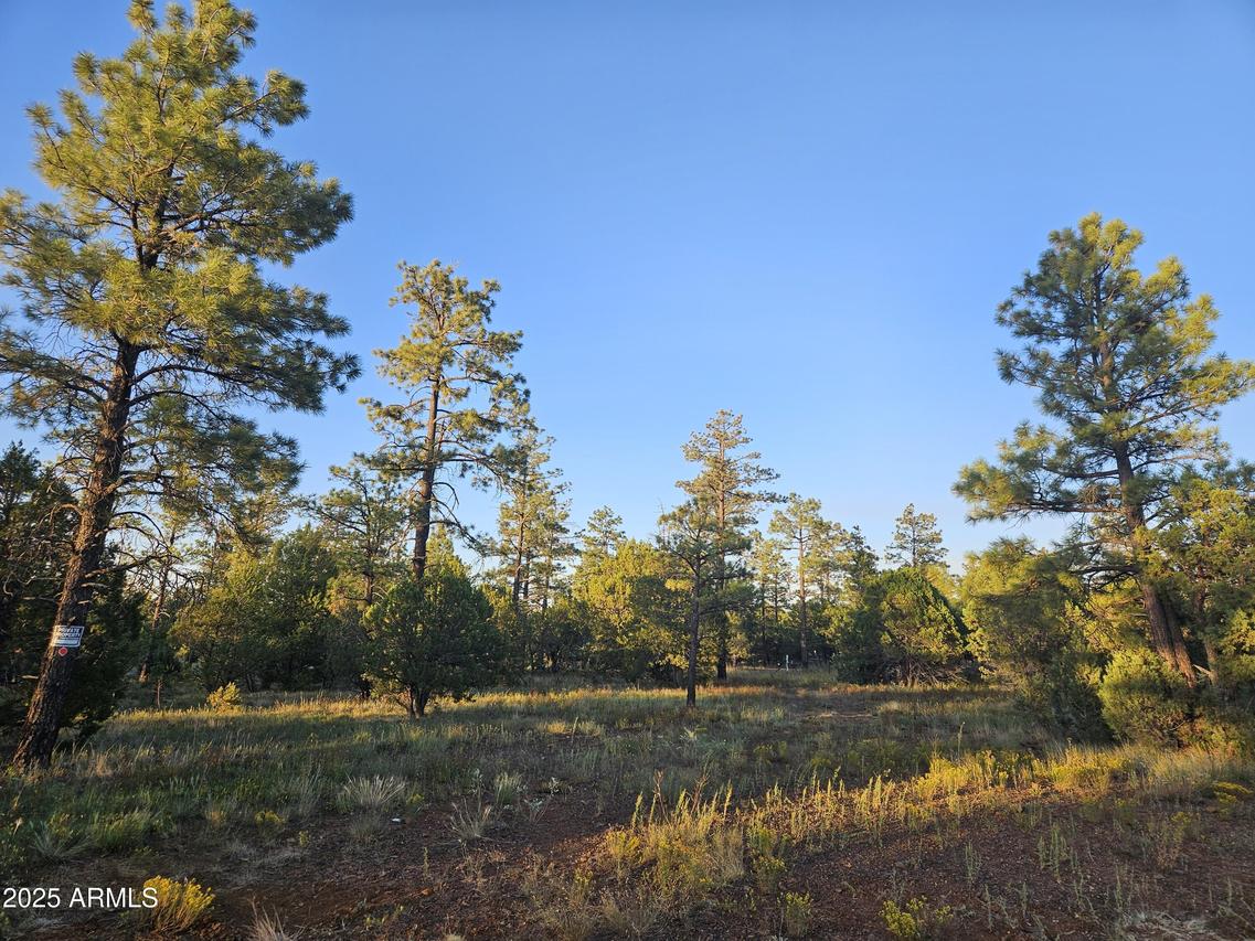 4843 W Bison Tr. #41, Lakeside, AZ 85929