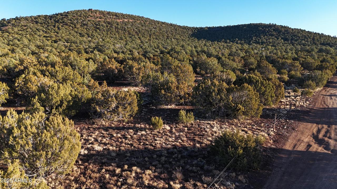 TBD County Rd N 3314 #-, Vernon, AZ 85940