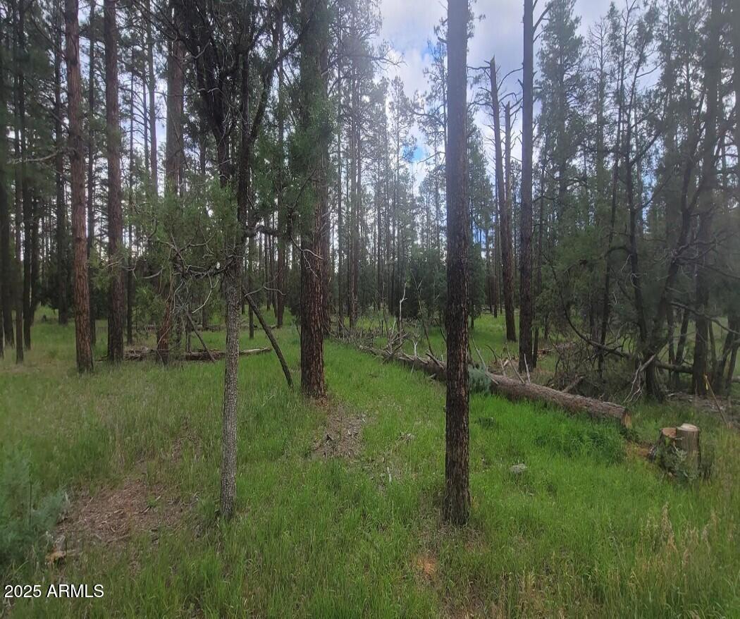 5363 Stilletto Dr. #4, Lakeside, AZ 85929
