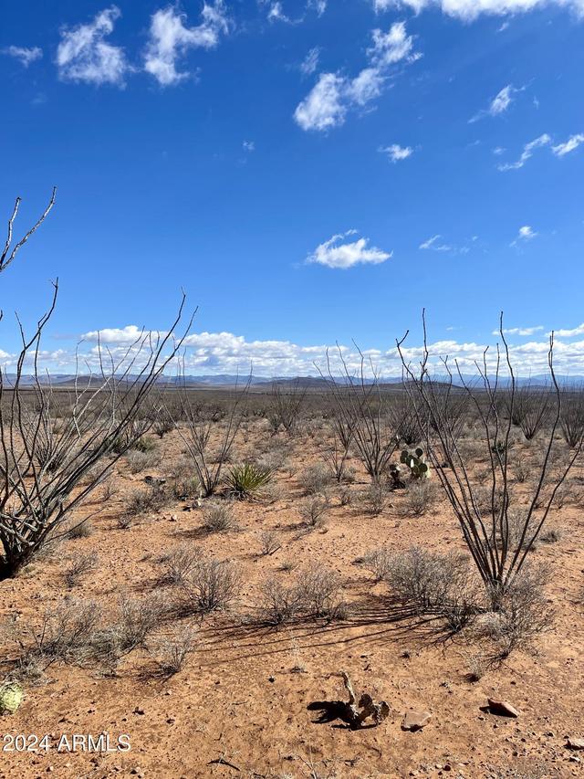 TBD W 39.918 Ac Lot 23 #23, Douglas, AZ 85607