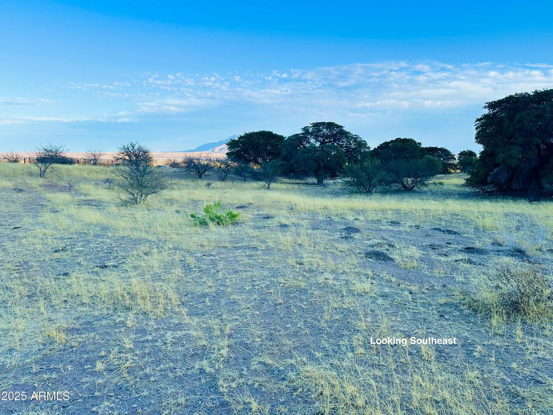 TBD E Gunpowder (39.13 Acres) Tr. #40, Hereford, AZ 85615