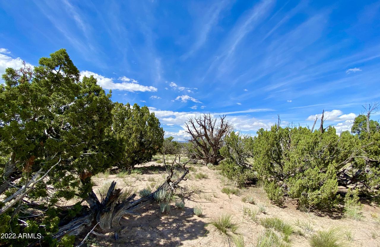 TBD N6112 #-, St Johns, AZ 85936