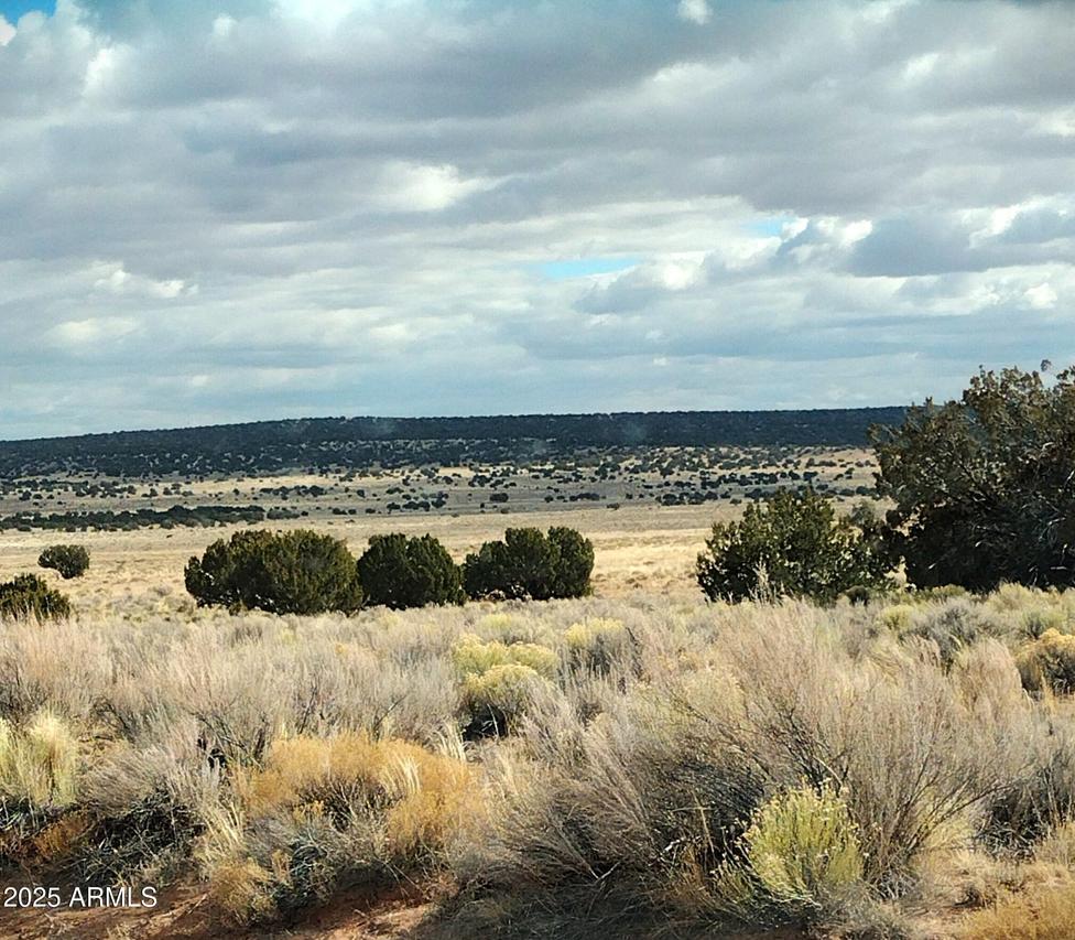 Lot 271 Red Sky Ranch #271, St Johns, AZ 85936