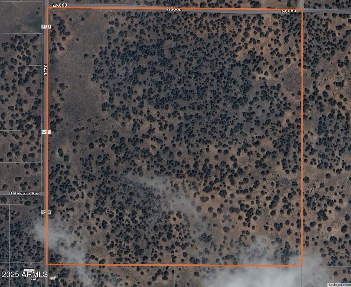 62 County Road 8238 Rd. #85, Concho, AZ 85924