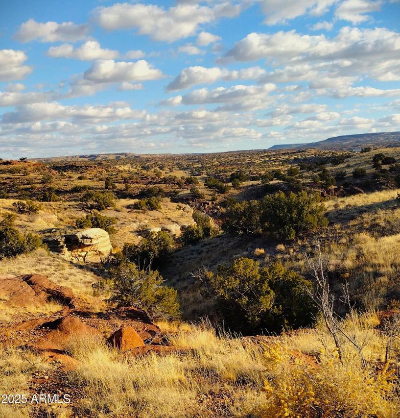 Lot -35 River Springs Ranch #035, St Johns, AZ 85936