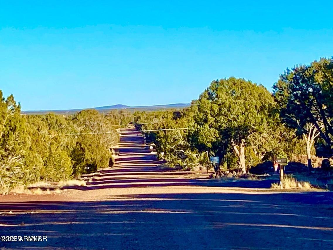 8309, 8313 & 8515 Pinon Dr. #-, Show Low, AZ 85901