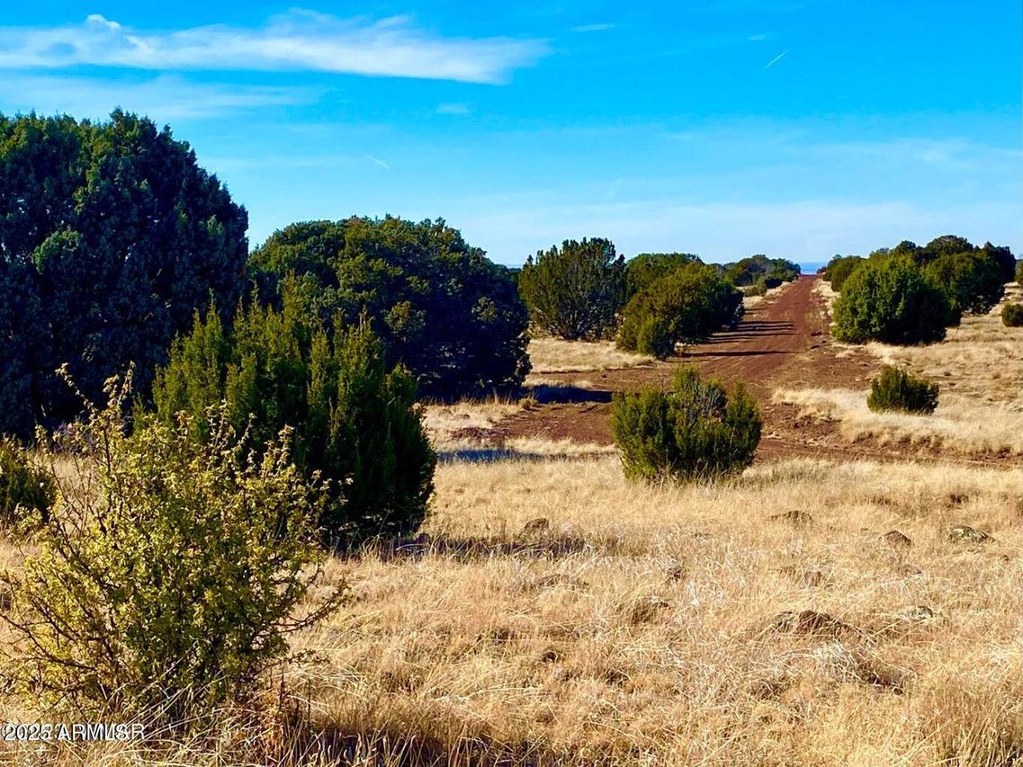TBD County Road 8305 #-, Concho, AZ 85924