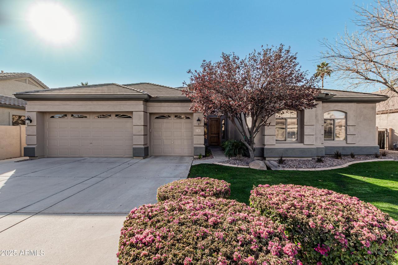 1281 E Morelos St., Chandler, AZ 85225