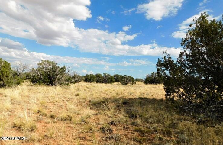 Lot 438 Chevelon Canyon Ranch #438, Heber, AZ 85928