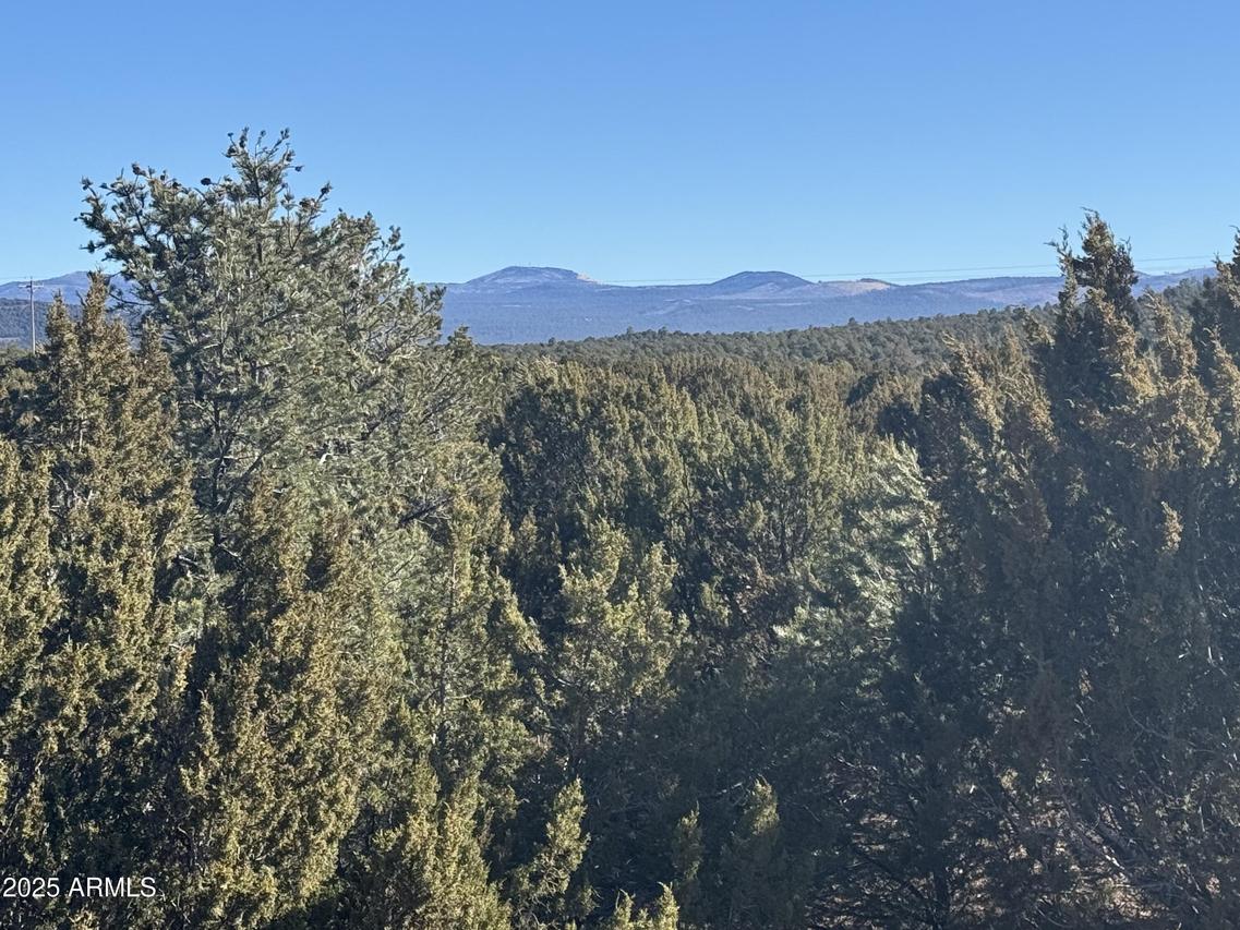 #5 Skyline Ranch #5, Vernon, AZ 85940