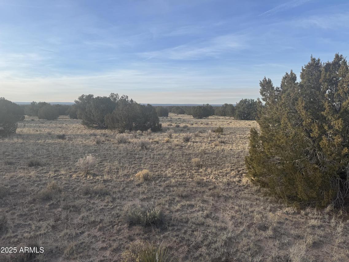 7199 Lot 004 Witch Well Ranches #004, St Johns, AZ 85936