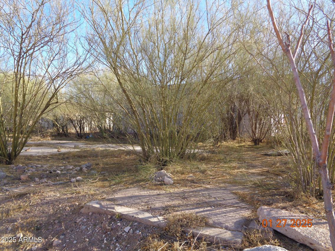 626 E 7th St. #9, Douglas, AZ 85607