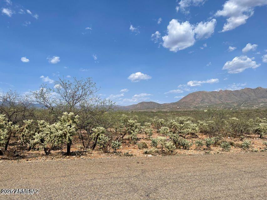 2041 Birch Ct. #43, Rio Rico, AZ 85648
