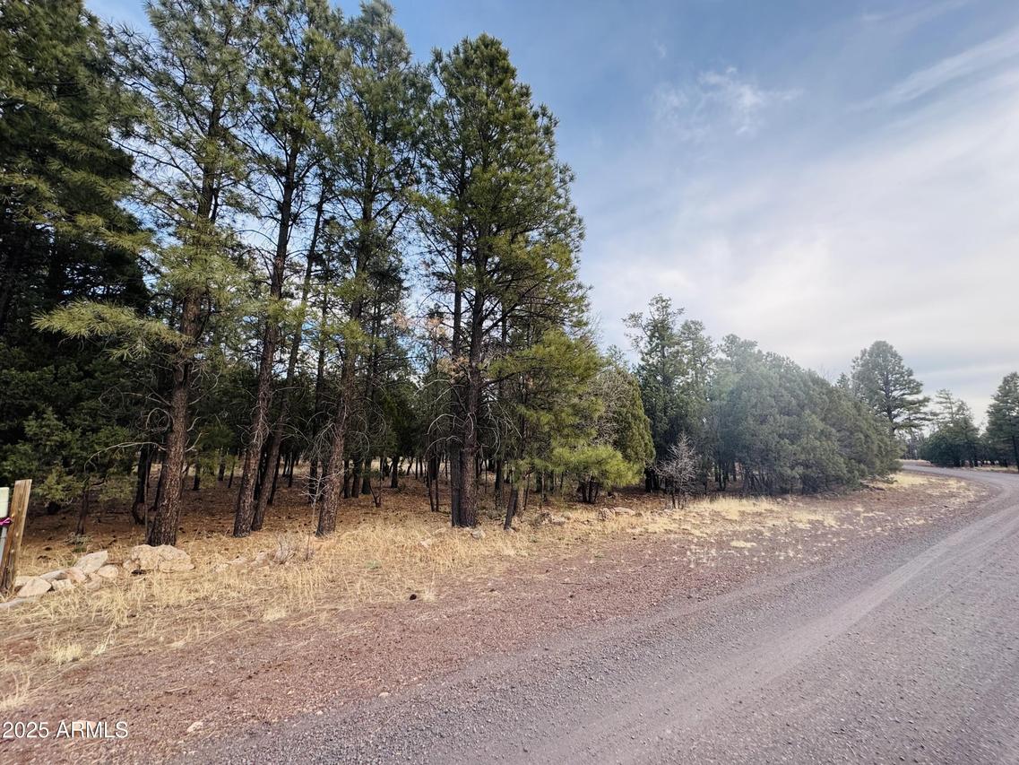 2211 Clear Creek Dr. #56, Happy Jack, AZ 86024