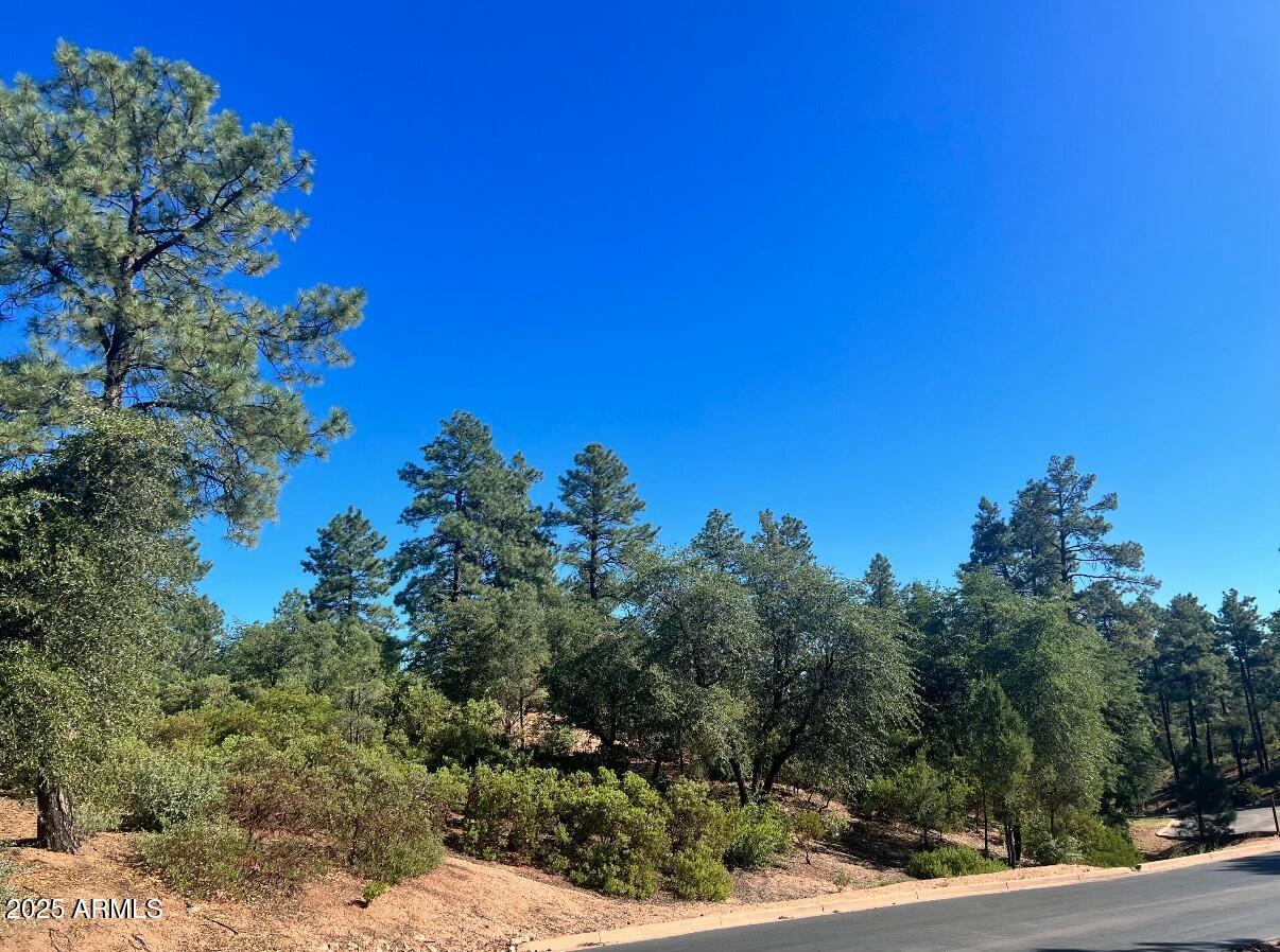 2001 E Feather Plume Ln. #533, Payson, AZ 85541
