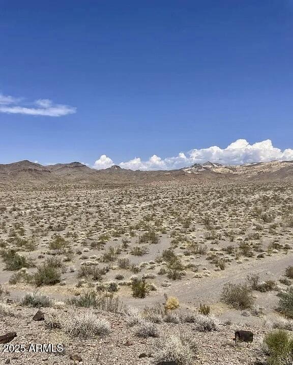 TBD N 40 Acres - 1 Rd. #-, Bullhead City, AZ 86429