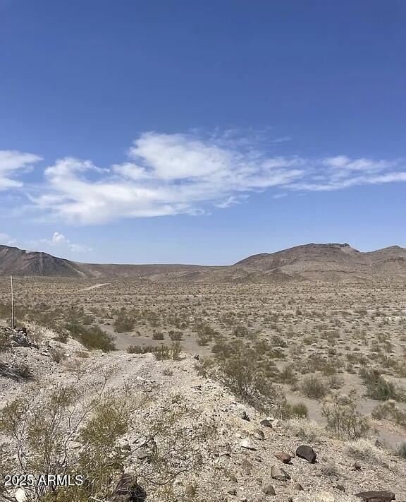 TBD N 40 Acres - 2 Rd. #-, Bullhead City, AZ 86429