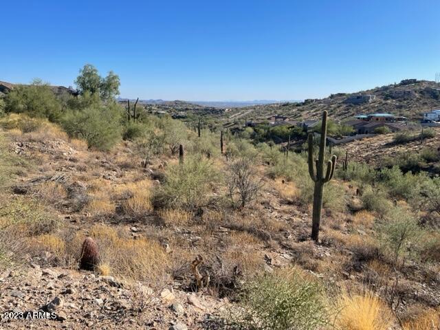 12008 N Eagle Ridge Dr. #67, Fountain Hills, AZ 85268