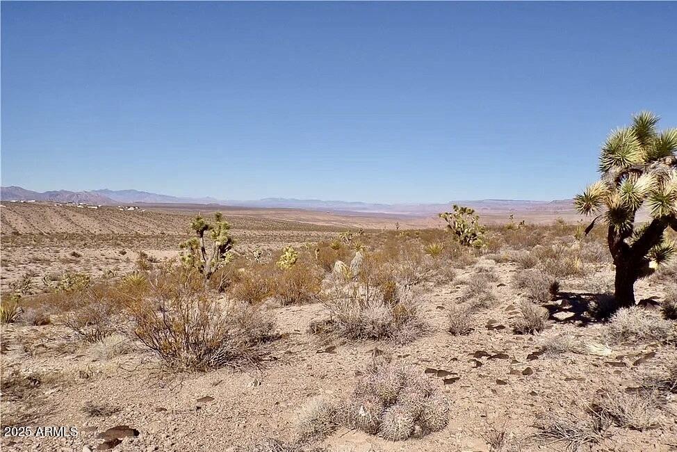 XXX N Wikieup Springs Rd. #-, Wikieup, AZ 85360
