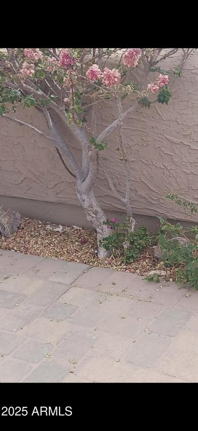 9611 E Foster Ave., Sun Lakes, AZ 85248