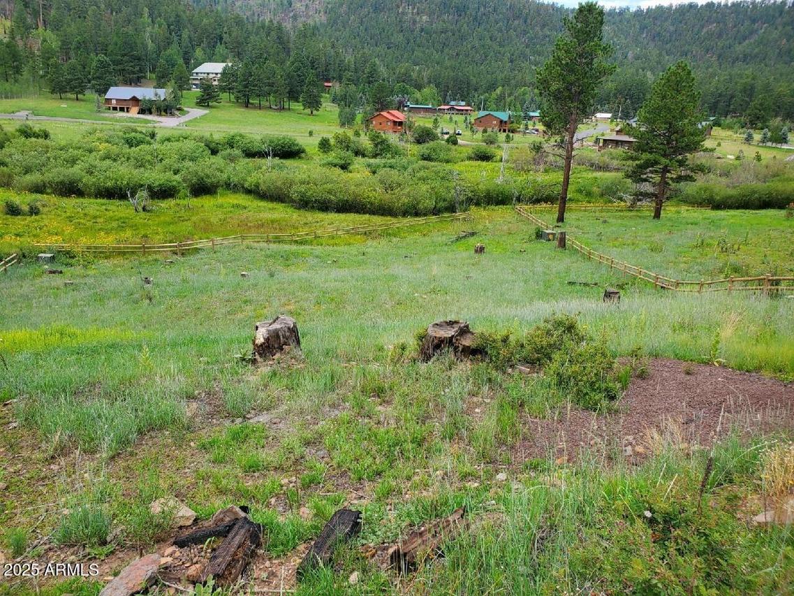 22 Greer Mountain Subdivision Dr., Greer, AZ 85927