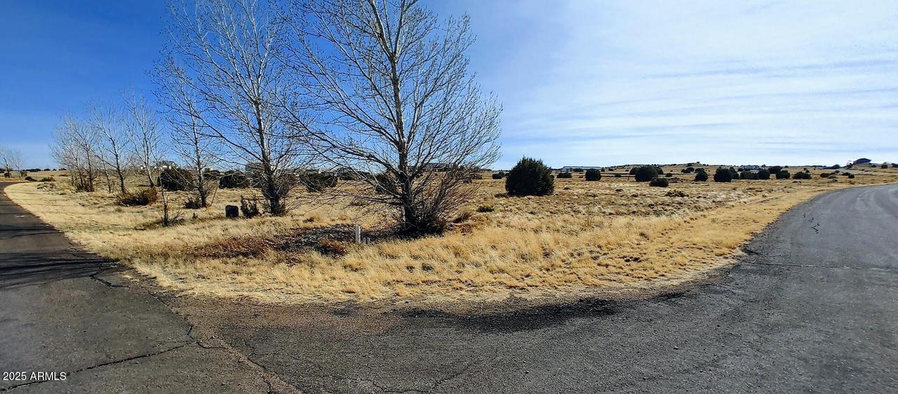 1351 S Meadow Way #81, Taylor, AZ 85939