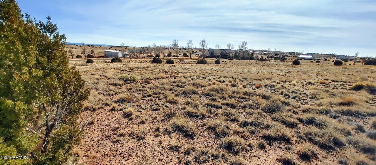 Lot 32 S Taylor Farms Ln. #32, Taylor, AZ 85939
