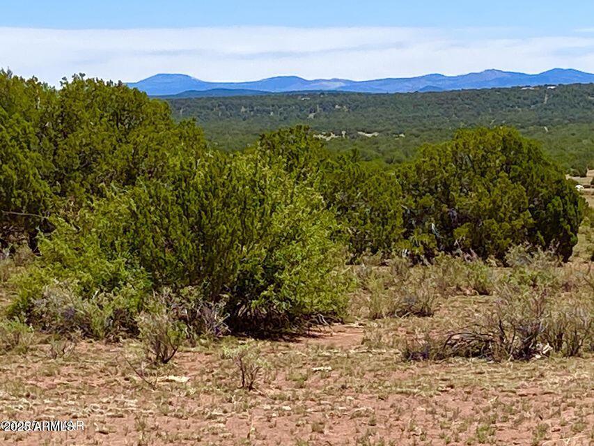 9780 Texas Lane 39.89 Acres #-, Show Low, AZ 85901