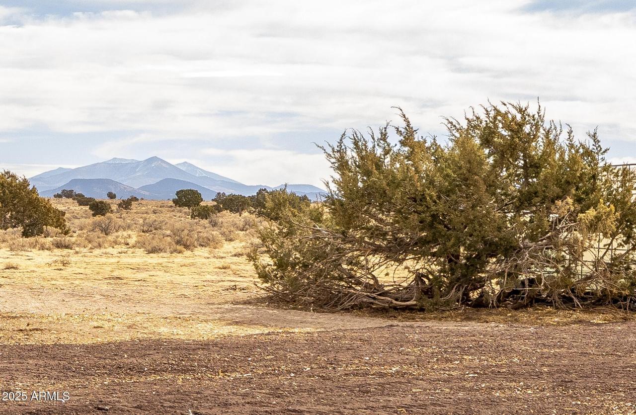 7337 Latigo Rd. #326, Williams, AZ 86046