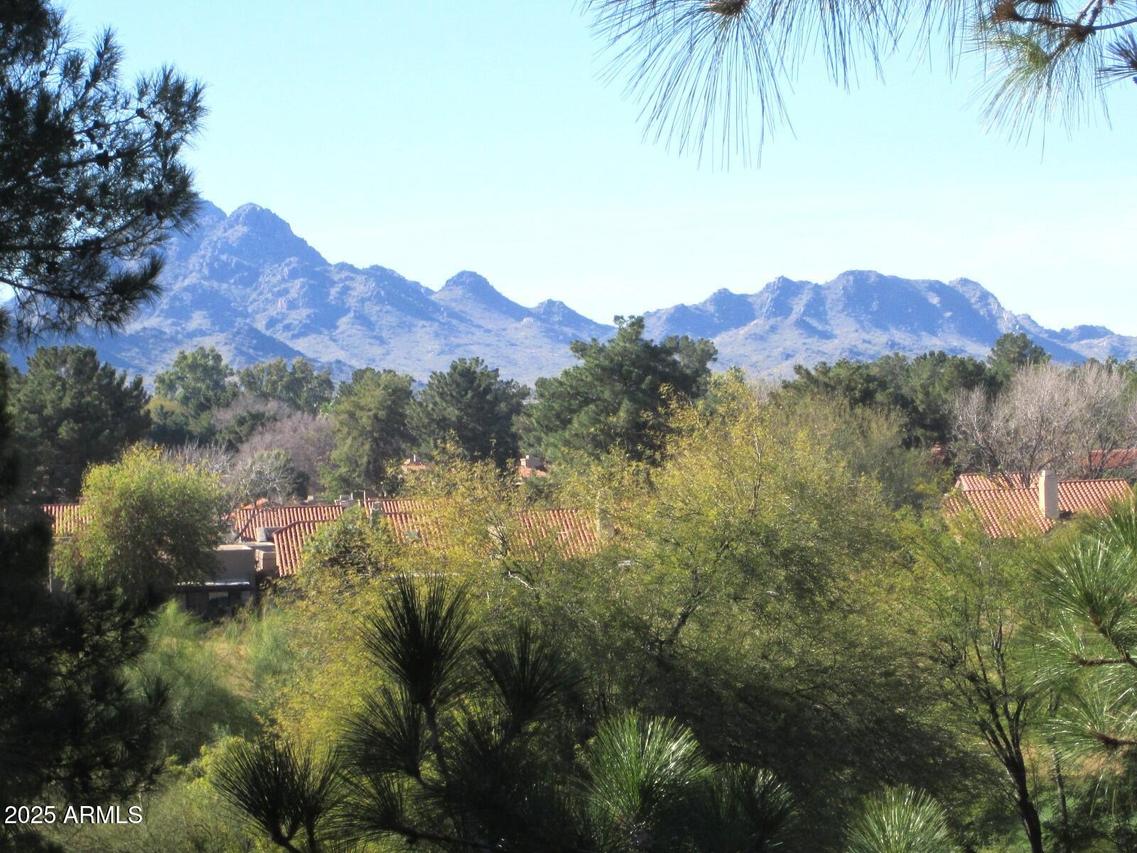 4303 E Cactus Rd. #331, Phoenix, AZ 85032