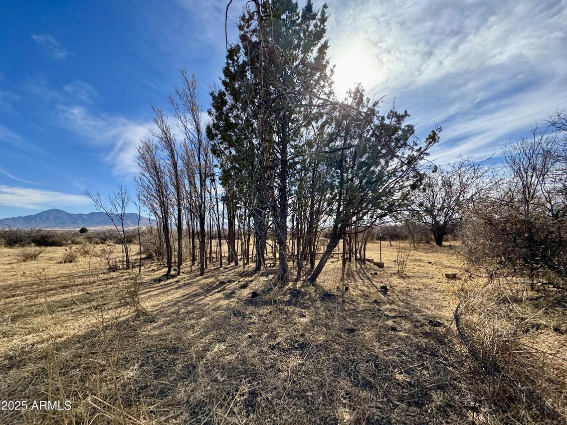 TBD 5-ACRE W Willys Run #C, Bisbee, AZ 85603
