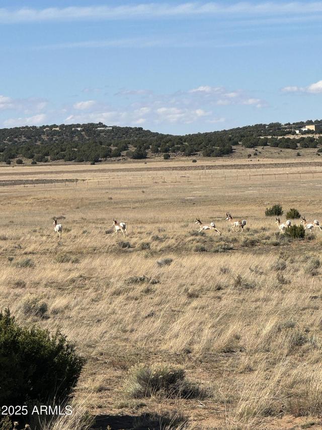 TBD N 8640 Rd. #248, Concho, AZ 85924