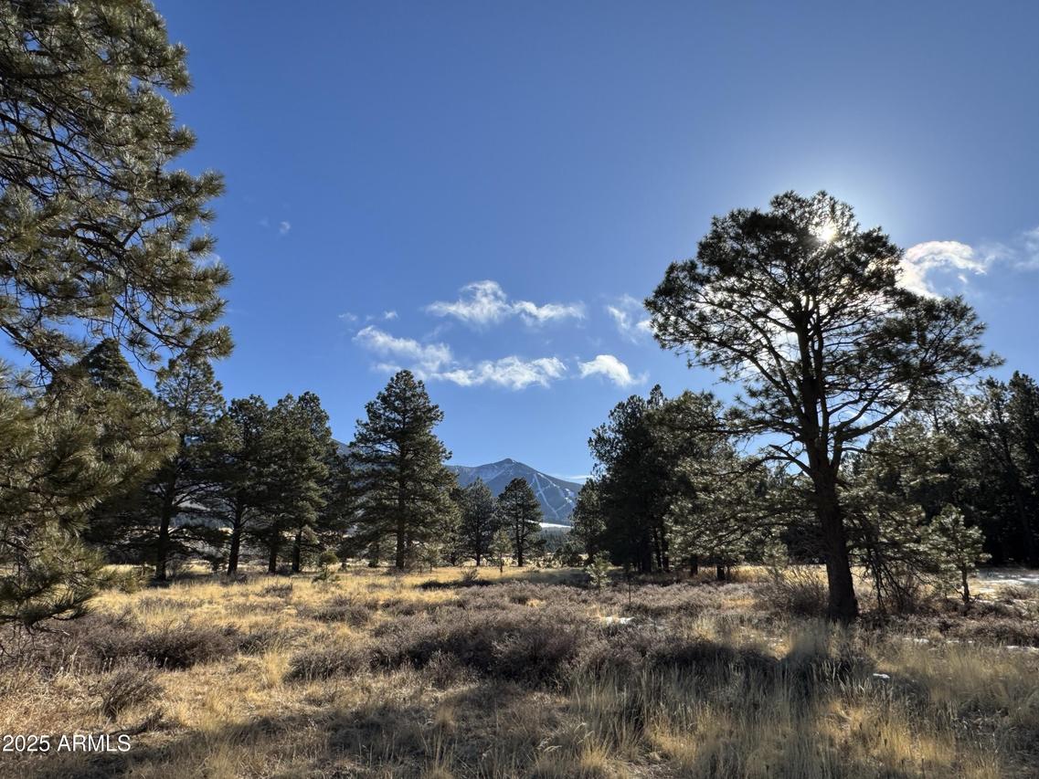 003 Hart Prairie Rd #-, Flagstaff, AZ 86001