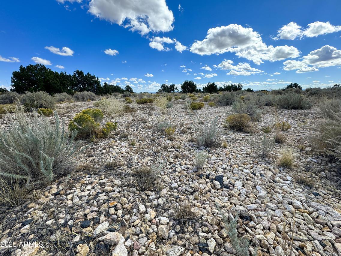 Lot 31 N Acr 7320 Rd. #31, St Johns, AZ 85936