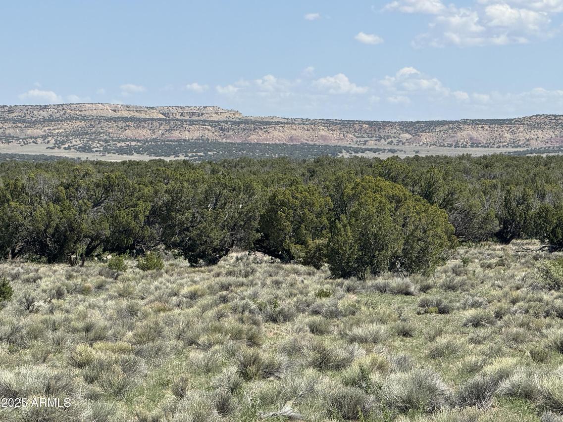 Lot 1114 Woodland Valley Ranch #1114, St Johns, AZ 85936