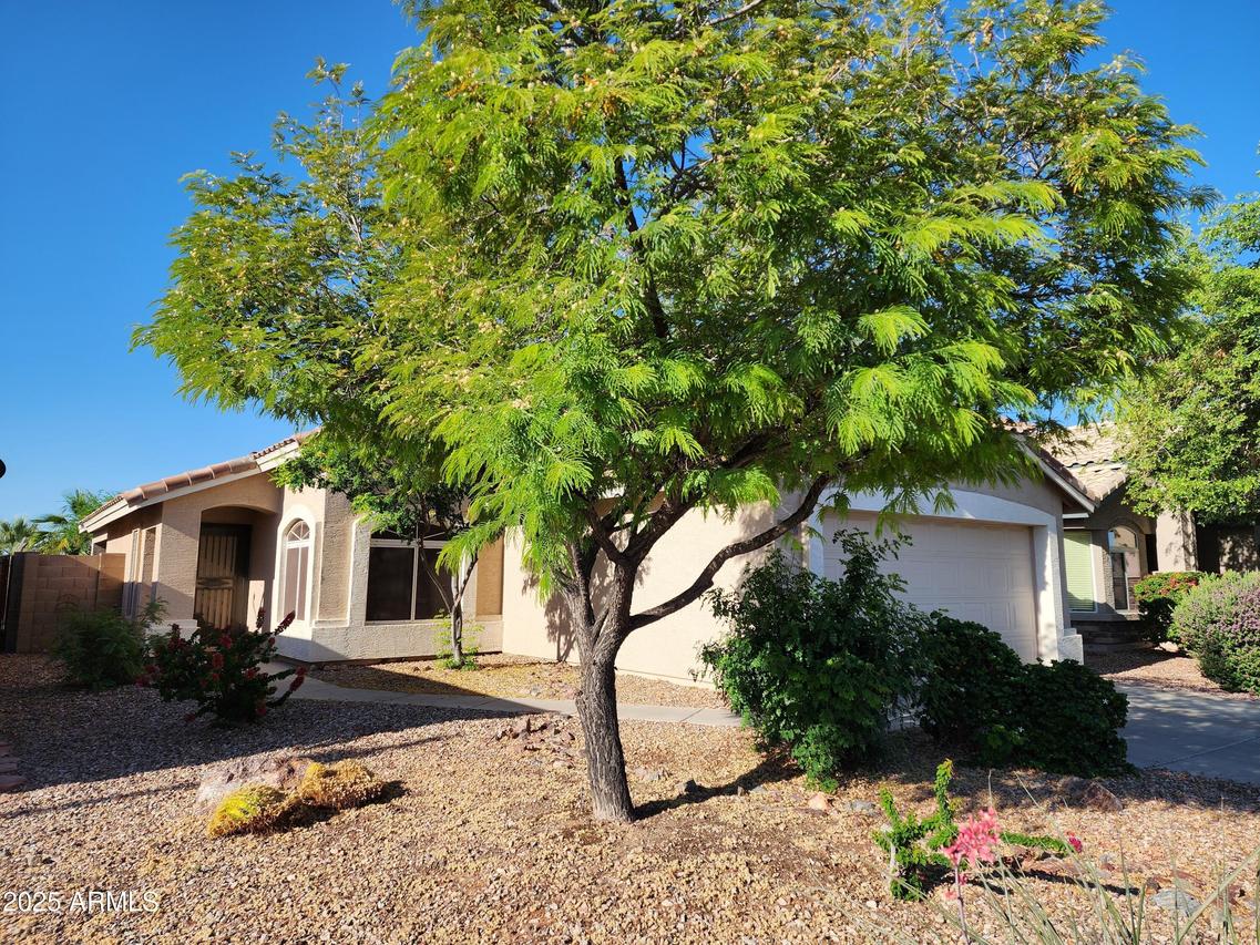 23087 W Antelope Tr., Buckeye, AZ 85326