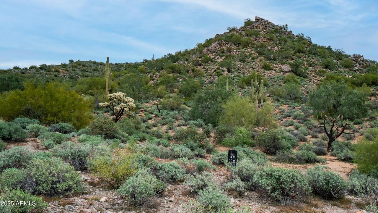 10795 E Copa De Oro Ln. #33, Gold Canyon, AZ 85118