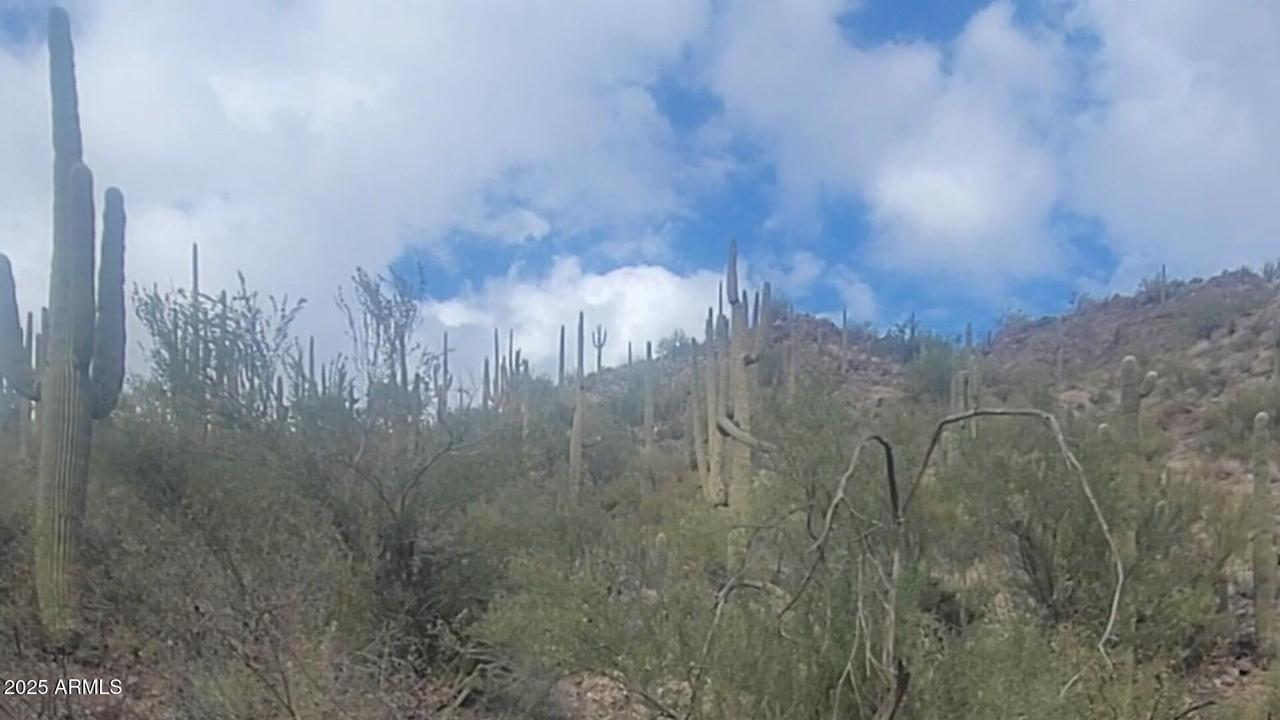 XXXXX S Cow Creek Rd. #61, Morristown, AZ 85342