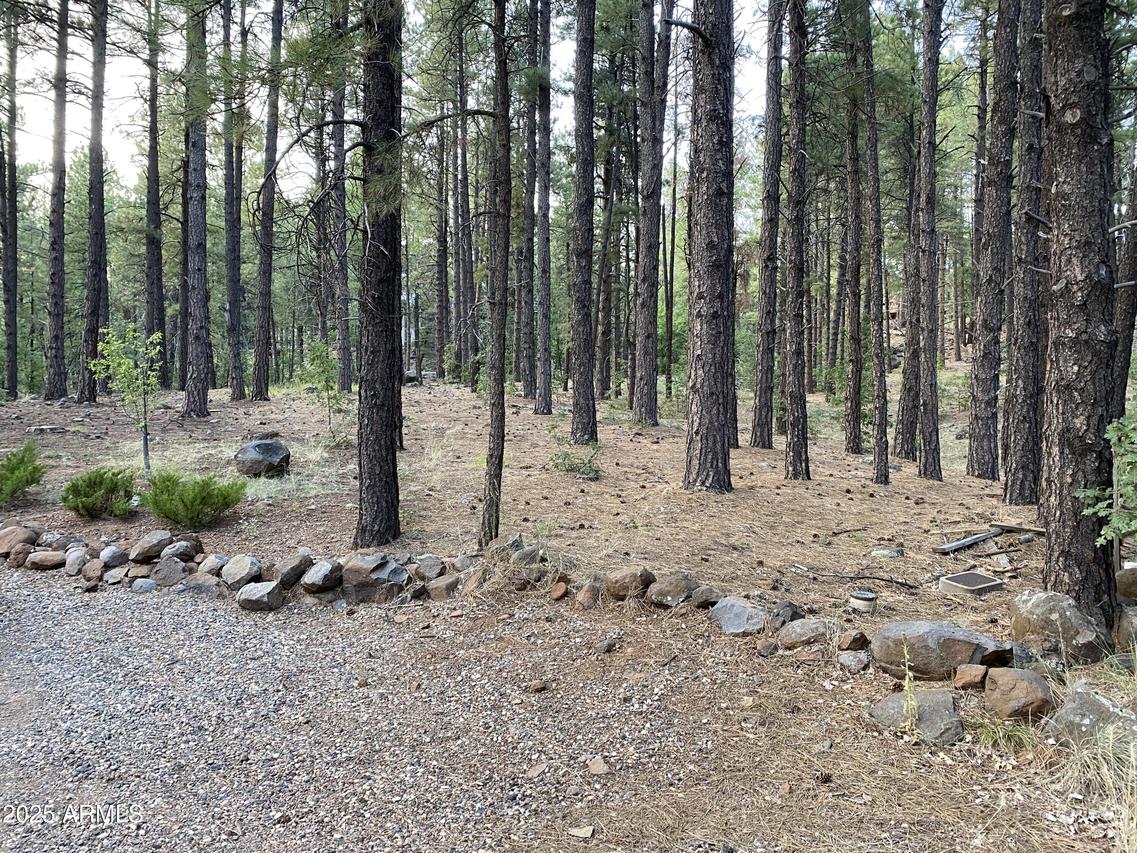 17680 S Mormon Rd. #155, Munds Park, AZ 86017