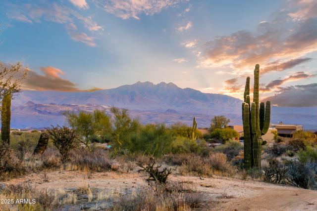 New Homes with Master Bedrooms on the 1st Floor That Attend Cactus Shadows High School: February 15th to February 21st