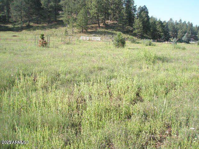 3090 Happy Trails Dr. #8, Flagstaff, AZ 86005