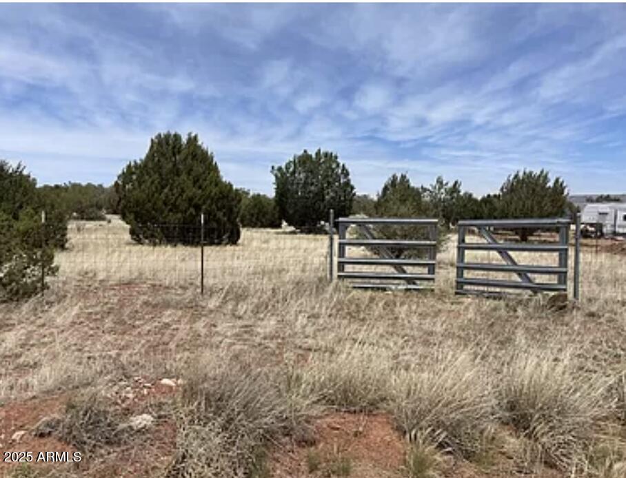 30386 W Basconia Rd. #4394, Seligman, AZ 86337