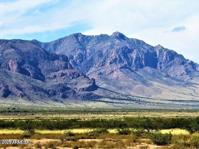 Three Triangle Ranches #37 41 Acres #-, Portal, AZ 85632