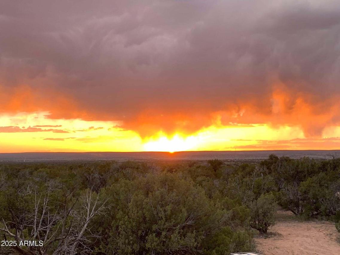 9 County Road N7340 #14, St Johns, AZ 85936