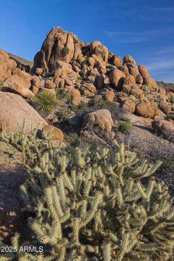 Carmen Rd & Allison Dr #-, Yucca, AZ 86438
