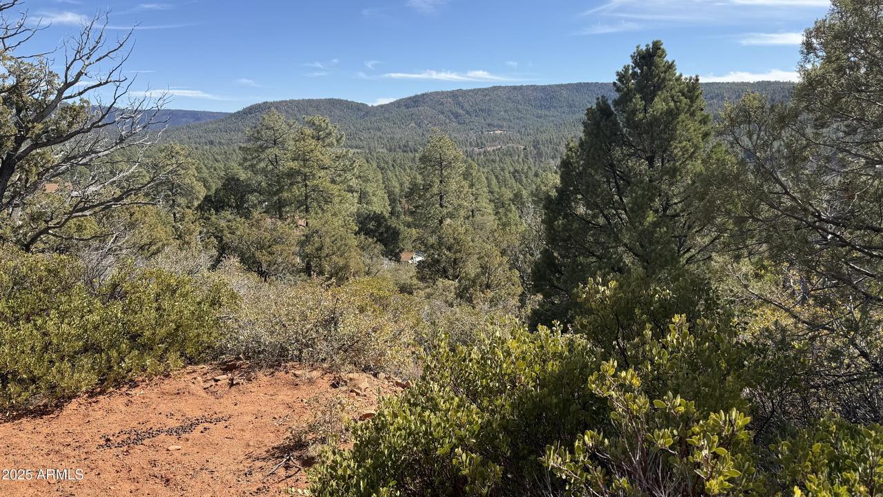 Lot 73 W Tomahawk Tr. #73, Strawberry, AZ 85544