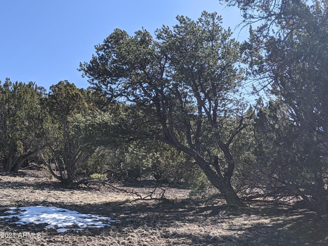lot 61 Stanford #61, Vernon, AZ 85940
